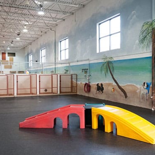 The indoor play area for All American Pet Resorts Lakeshore